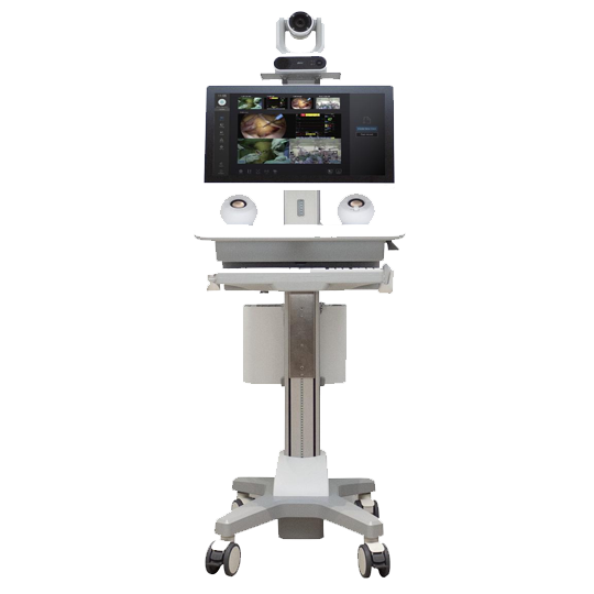Surgical Lights